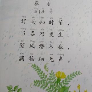 描写杏花在春雨中的优美句子_描写春雨的句子_描写春雨细密的句子