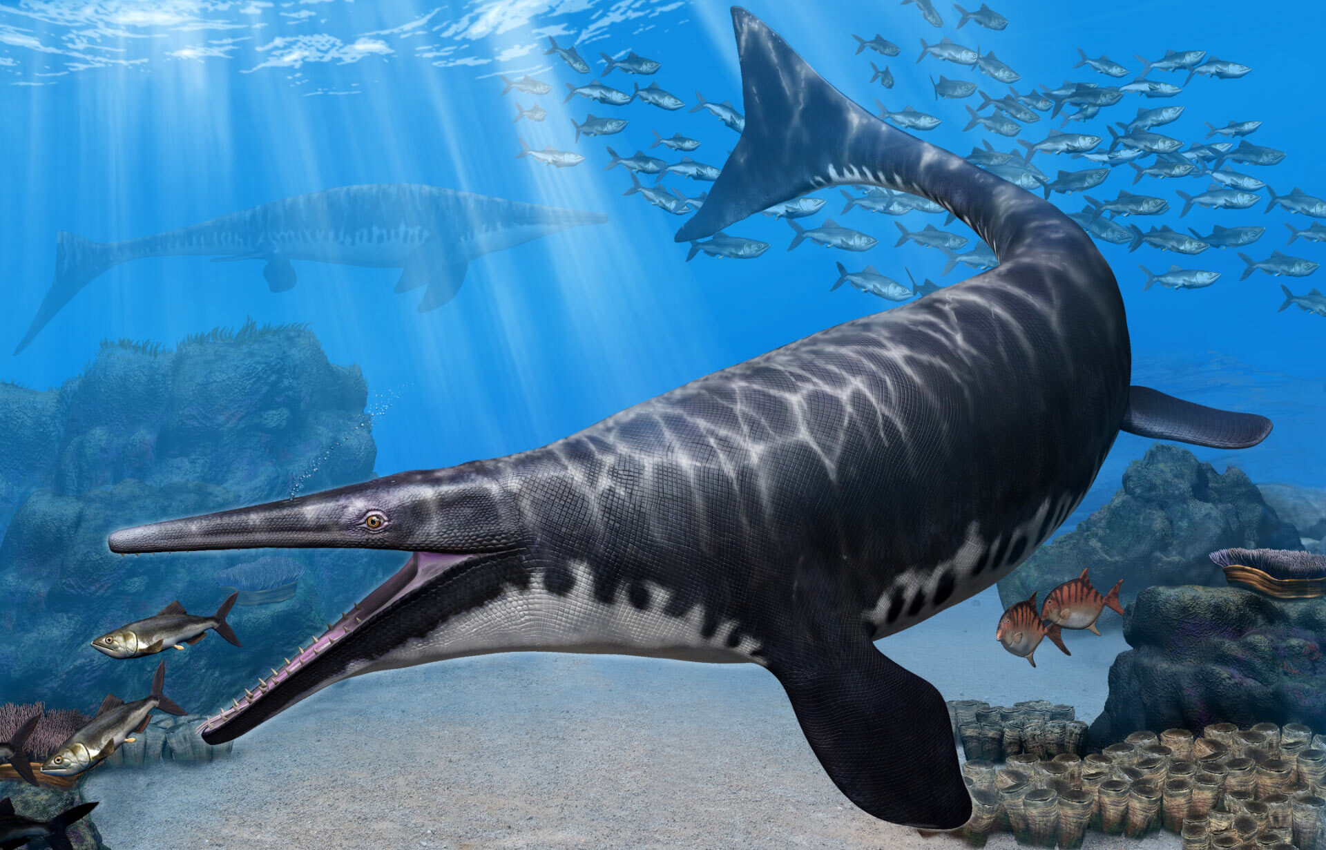 远古海洋哺乳动物_远古海洋最大的动物_远古海洋生物
