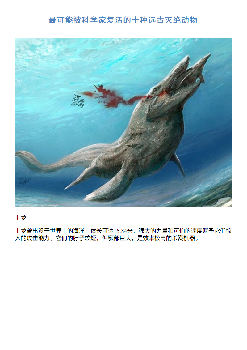 远古海洋哺乳动物_远古海洋生物图片大全_远古海洋生物