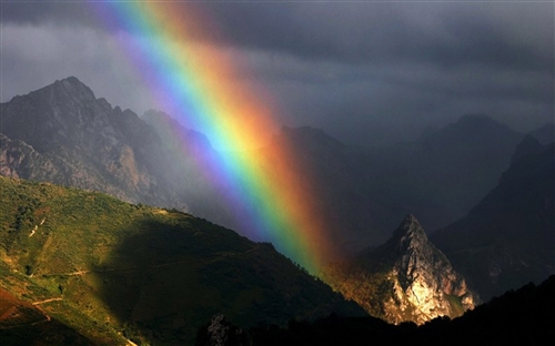 风雨过后必见彩虹,坚持_风雨后见彩虹励志的名言_历尽风雨见彩虹