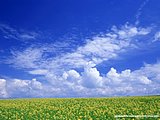 西湖莉莉广场舞蓝天悠悠白云朵朵_描写蓝天白云的诗句_蓝天朵朵白云悠悠是什么歌?