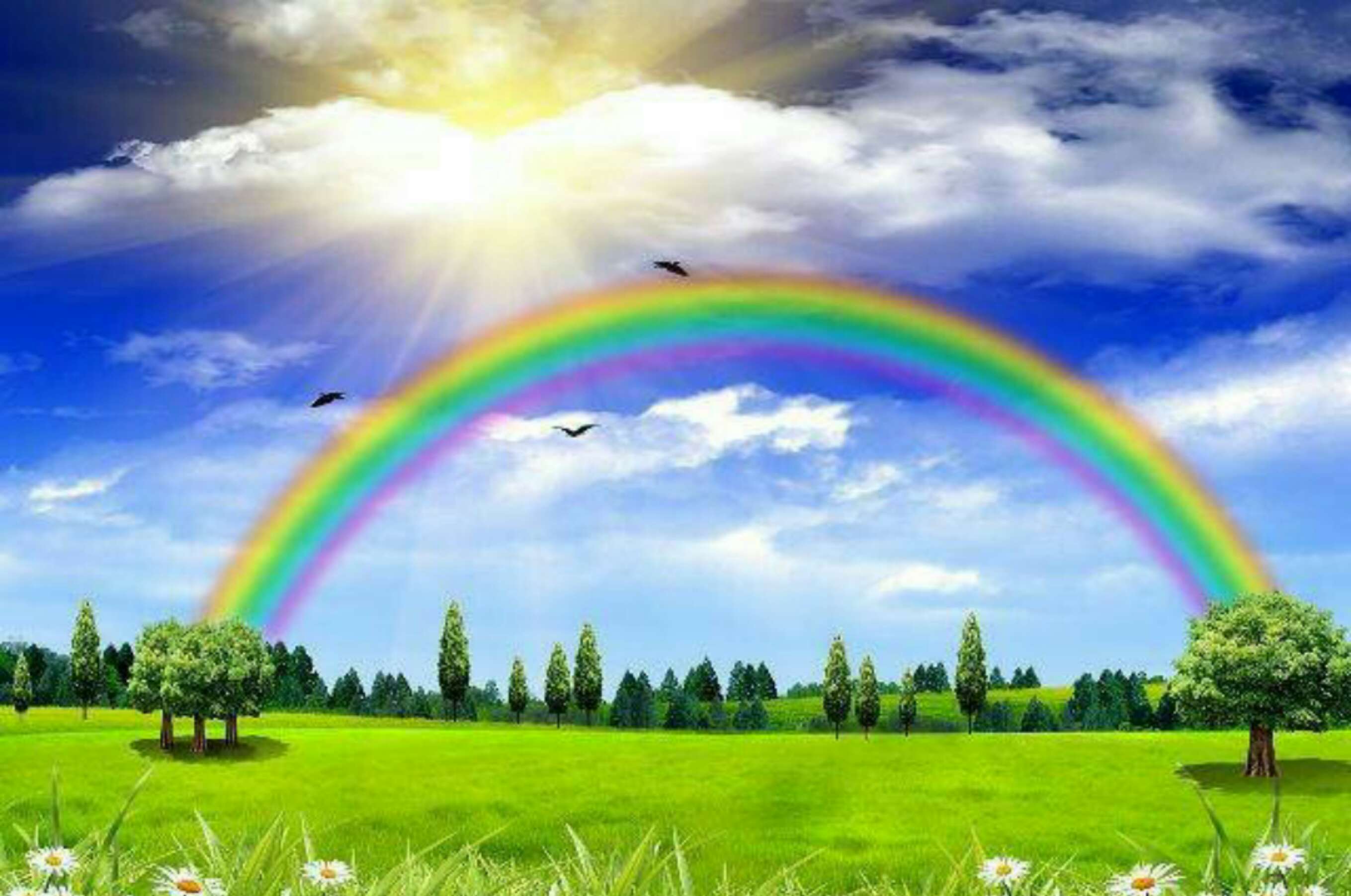 童话说雨后会有一道彩虹_我要做雨后第一道彩虹_雨后彩虹的励志的句子