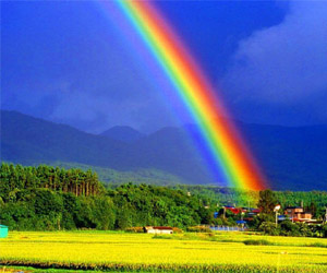 历尽风雨见彩虹_风雨后见彩虹励志的名言_风雨见彩虹