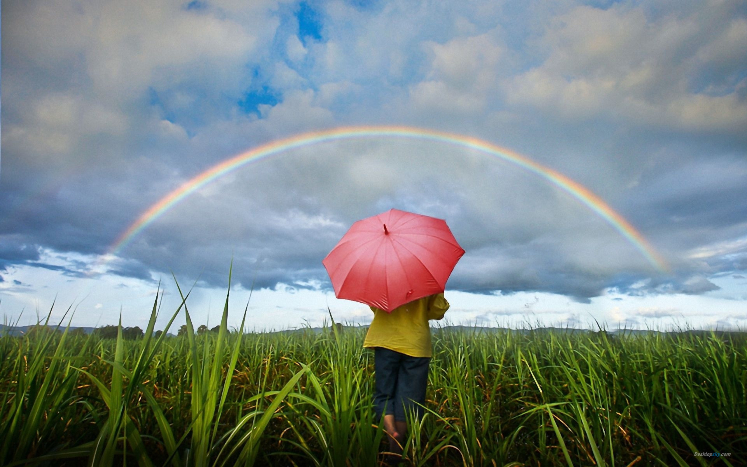 风雨后见彩虹励志的名言_历尽风雨见彩虹_不经历风雨怎么见彩虹
