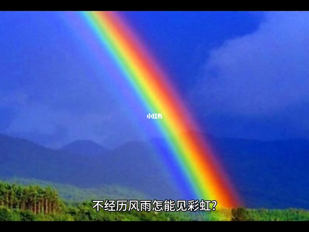 风雨后见彩虹励志的名言_历尽风雨见彩虹_不经历风雨怎么见彩虹