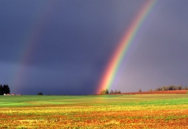 描写雨后美景的句子_描写雨后彩虹的优美句子_描写秋雨的优美句子