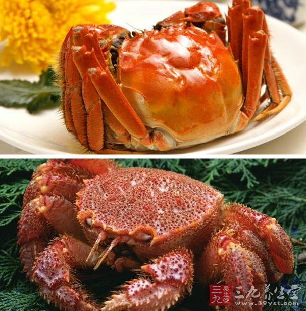 蟹不肉是什么意思梗_小肉蟹是河蟹还是海蟹_肉蟹和珍宝蟹